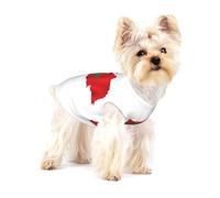 Chemise pour chien imprimée carte du Maroc pour petites races comme les chihuahuas, yorkshires et chiots