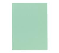 Chemise qualité supérieure 210 g Exacompta 24 x 32 cm couleur vert - Paquet de 100