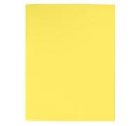 Exacompta Chemises semi-rigides Forever® 170 g/m2 100% recyclées Ange Bleu 24x32 cm Jaune x100