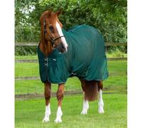 Chemise séchante en mesh pour cheval Premier Equine Ventoso Vert 160 cm