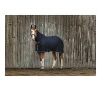 Chemise séchante pour cheval Equithème Combo Bleu 190 cm
