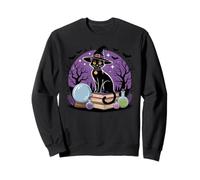 Chemise Witchy Cat Magic Books Halloween Potion Art Sweatshirt