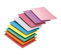 Chemise dossier Rainex 220g 24x32 rose vif - Paquet de 100 G