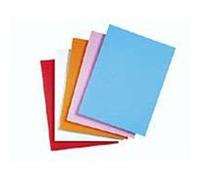 Rainex Paquet de 100 chemises Super carte 250 grammes 24x32 -Orange