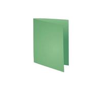Chemises forever 170g vert pré x 100
