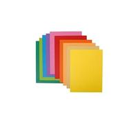 Exacompta - Réf. 217001E - 10 paquets de 10 chemises rigides ROCK"S 210 g/m2 aux couleurs vives - chemises certifiées PEFC - dimensions 24 x 32 cm pour format A4 - couleurs assorties