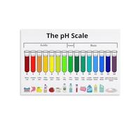 Chemistry Educational Poster pH Scale Chart Base Science Wall-Art for School Classroom Laboratory and Homeschool Learning Decor(Unframed,16x24inch(40x60cm))