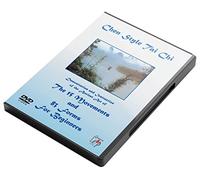 Chen Style Tai Chi - Chen Style Tai Chi For Beginners [Import anglais]