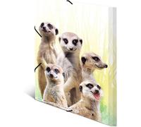 Cheng-19961 Lot De 3 Porte-Documents A4 En Plastique Pour Enfants Motif Troupes De Suricate Avec Impression Intérieure Et Bande Élastique