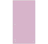 Cheng-Lot De 100 Intercalaires En Carton Recyclé 1/3 A4 190 G/M² - 4 Perforés - 23,5 X 10,5 Cm - Fabriqué En Ue