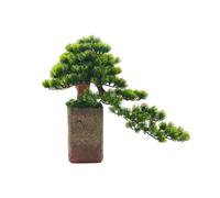 CHENGAIJIAN Bonsaï Artificiel Zen Simulation Bienvenue pin bonsaï Ornements entrée Meuble TV Bureau Doux Salon décorations Décoration intérieure