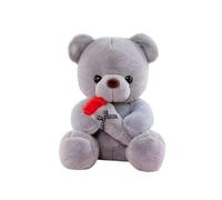 CHENGLI Ours Peluche, Animaux en Peluche Ours Teddy, Ours en Peluche pour La Saint-Valentin, Petit Ourson Doux pour Enfants Garçons Filles Anniversaire Noël Saint Valentin (25cm, Gris)
