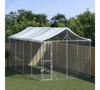 Chenil extérieur avec toit argenté 3x6x2,5m Acier galvanisé