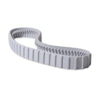 Chenille Grise M2 : Robot Dolphin T35