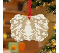 Chenonceau Oiseaux et Botaniques Aquamarine Décoration de Noël Aquarelle Bleu Gris à Suspendre Disques Acrylique Transparent Amoureux des Animaux Oiseaux Plantes Souvenir pour Décoration de Sapin de