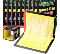 ChenQuanSarl-10Pcs Plaque Collante Souris (31×21Cm), Piege Souris Écologique, Piege A Souris Collante, Puissant Plaque Glue Souris, Attrape Rat Faciles À Util r, Pièges À Rats Adaptés Cafards Et Arai