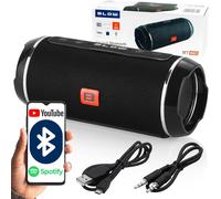ChenQuanSarl-Bt460 Enceinte Bluetooth Portable 20 W Rms Radio Fm Microsd Aux