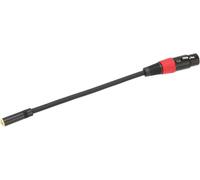 ChenQuanSarl-Câble Femelle 3,5 Mm Vers Xlr, Câble De Convertisseur De Microphone Mini Jack Professionnel Xlr Femelle Pour Ordinateur De Caméra (Caron Femelle À 3.5 Femelle 0,2 M)