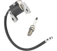 ChenQuanSarl-Compatible Avec L'Armature De Magnéto De Bobine D'Allumage 591459 Adaptée Aux Pièces De Moteurs De Tondeuse À Gazon Briggs Et Stratton 492341,490586,495859 + Bougie D'Allumage Rc12Yc