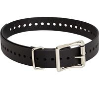 Chenquansarl-D-Strap1-Blk Sangle De Rechange Pour Collier E Noir 2,54 Cm