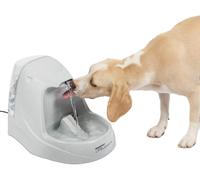 Chenquansarl-Fontaine À Eau En Cascade Drinkwell Platinum 5 L Pour Chien Et Chat, Distributeur Eau Pour Animaux, Débit Réglable, Retient Les Odeurs Et Bactéries, Facile À Nettoyer, Blanc