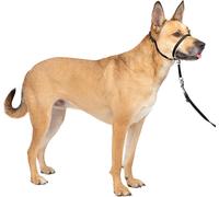Chenquansarl-Premier Easy Walk - Collier Pour Chien Avec Boucle - Noir - Taille M