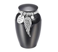 Chenxi Studio Urne funéraire artistique en forme d'aile pour animal domestique avec revêtement antirouille pour chien et chat