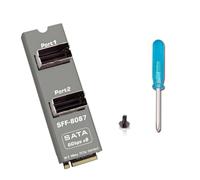 chenyang Carte d'extension PCIe 3.0 M.2 M-Key vers double mini SAS SFF-8087 - Extension vers 8 SATA 3.0 6 Gbps HDD/SSD pour NAS et serveur - Mise à niveau de mémoire (câble de données non inclus)