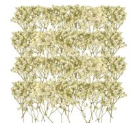 CHENYU 150 Pièces Gypsophile Séché Blanc Exquis Fleur Sechees Decoration | Mini Fleurs Séchées Pour La DIY Confection de Guirlandes de Mariage de Marque Pages Et de Bougies Gypsophile