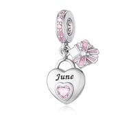 ChenYuTe 925 Sterling Silver Birthstone Charms Pierre de Haissance - Unique Heart Shaped Design, s'adapte à la Plupart des Bracelet Pandora et Colliers, les Femmes DIY Cadeaux de vacances