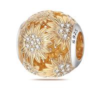 ChenYuTe Charms en Argent 925 pour Bracelets, Pendentifs Compatibles avec les Bracelets Européens Pandora et les Colliers pour Femmes