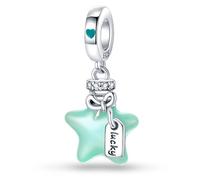 ChenYuTe Charms en Argent 925 pour Bracelets, Pendentifs Compatibles avec les Bracelets Européens Pandora et les Colliers pour Femmes