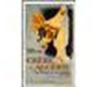 Chère Algérie Daniel Lefeuvre (Auteur)