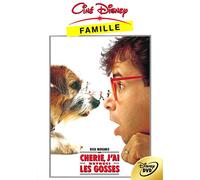 Chérie, j'ai rétréci les gosses