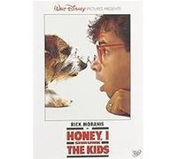 Honey, I Shrunk the Kids – Disney – Import USA Zone 1