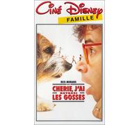 Chérie j'ai rétréci les gosses (Honey, I Shrunk the Kids)