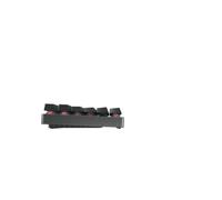 CHERRY MX 8.2 TKL Wireless, Clavier Mécanique de Gaming Sans Fil, Sans Pavé Numérique, Disposition allemande (QWERTZ), avec Mallette Métallique de Transport, MX BROWN Switches, Noir