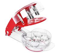 Cherry Pitter - 6 Cerises Cherry Seeder Cherry Stoner Seed Remover