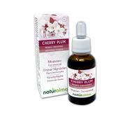 Cherry plum ou Prunier Myrobolan (Prunus cerasifera) Fleurs émotionnelles ou Fleurs de Bach Naturalma - Gouttes 30 ml - Extrait liquide sans alcool - Essences florales - Vegan