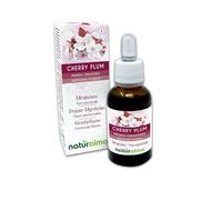 Cherry plum ou Prunier Myrobolan (Prunus cerasifera) Remèdes floraux Naturalma - Gouttes 30 ml - Extrait liquide sans alcool - Essences florales - Vegan et sans alcool