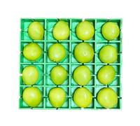 Cherry Tomato Cutter Slicer - 16 Compartment Fruit Holder Dishwasher Safe Food Grade Quarter Grape Slicer Kitchen Tool For Cherry Tomatoes Grapes Snacks Meal Prep