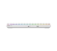 Cherry XTRFY K33 Compact Wireless Clavier de Jeu sans Fil Mem-Chanical Format 75%, Clavier Multi-appareils, éclairage RVB, Protection IP54 Anti-poussière et Anti-éclaboussures, Disposition PN (QWERTY