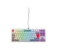 CHERRY XTRFY K4V2 - Retro Edition - clavier - RGB - 80% - TKL - backlit - USB - QWERTZ - Allemand - commutateur : CHERRY MX2A Red - gris