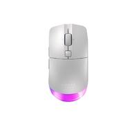 CHERRY XTRFY M50 Wireless - Souris Gaming Optique 12000 DPI, RGB, Tri-mode (2.4GHz/Bluetooth/USB-C), Autonomie 100h, Droitier, 89g
