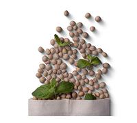 CherryPad® Recharge Thermophore à base de graines de cerise - Menthe, eucalyptus (petit), pour les coliques, les douleurs menstruelles, la fièvre, Cherrypad Aromathérapie