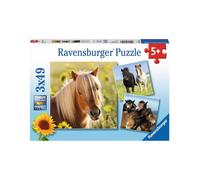 Chers chevaux Ravensburger 08011