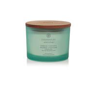 Chesapeake Bay Balance + Harmony Bougie parfumée avec 3 mèches 312 g