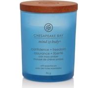 Chesapeake Bay Confidence + Freedom Bougie parfumée 96 g