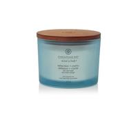 Chesapeake Bay Reflection + Clarity Bougie parfumée avec 3 mèches 312 g