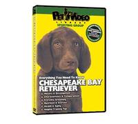 CHESAPEAKE BAY RETRIEVER DVD! + Dog & Puppy Training Bonus